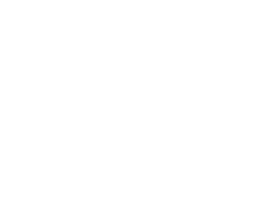 La huella del dandi